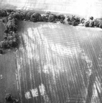 Oblique aerial view.