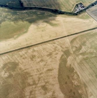 Oblique aerial view centred on the cropmarks of the pit-defined cursus, pits and rig, with pits, rig, ring-ditch and possible quarry adjacent, taken from the NNE.