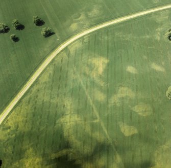 Oblique aerial view.