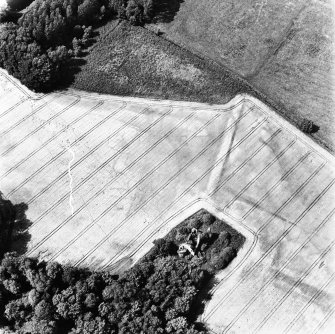 Moncur, oblique aerial view, taken from the SE, centred on a fortified house and associated linear cropmarks.