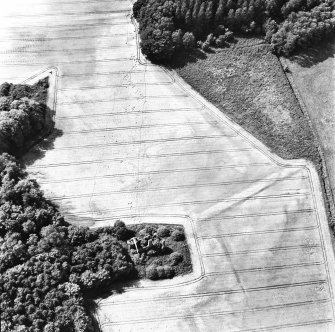 Moncur, oblique aerial view, taken from the ENE, centred on a fortified house and associated linear cropmarks.