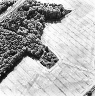 Moncur, oblique aerial view, taken from the NNE, centred on a fortified house and associated linear cropmarks.