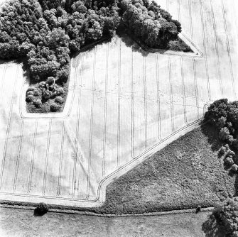 Moncur, oblique aerial view, taken from the NNW, centred on a fortified house and associated linear cropmarks.