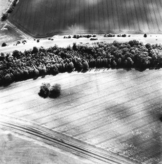 Rossie Priory, oblique aerial view, taken from the NW, centred on the cropmarks of several adjoining enclosures.