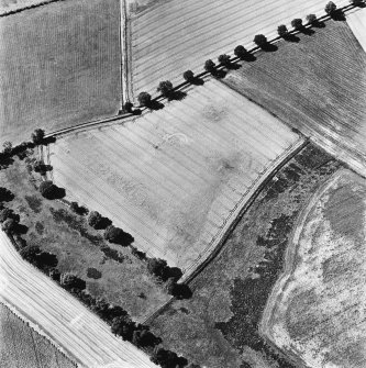 Glencarse, oblique aerial view, taken from the NE, centred on the cropmarks of at least four souterrains.