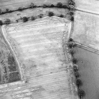 Oblique aerial photograph of Glencarse centred on cropmarks, including unenclosed settlement, three souterrains and a pit, taken from the NW.