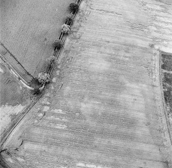 Oblique aerial photograph of Glencarse centred on cropmarks, including unenclosed settlement, three souterrains and a pit, taken from the SE.