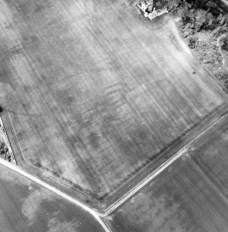 Oblique aerial view.