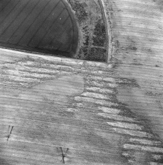 Oblique aerial photograph of Glencarse centred on the cropmarks of a possible souterrain and a pit, taken from the NW.