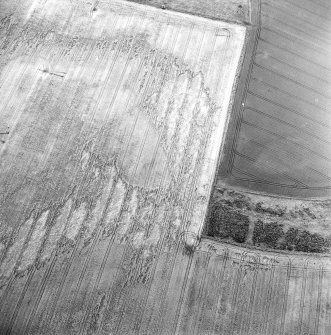 Oblique aerial photograph of Glencarse centred on the cropmarks of a possible souterrain and a pit, taken from the SW.