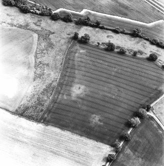 Glencarse, oblique aerial view, taken from the W, centred on the cropmarks of two souterrains and other cropmarks.