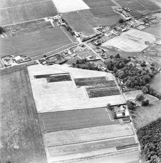 Lintrose Roman Temporary Camp, oblique aerial view, taken from the NE, centred on the N angle of the camp.