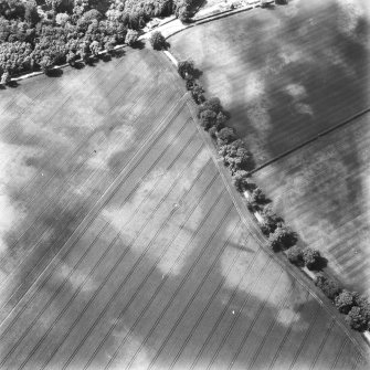 Oblique aerial view.