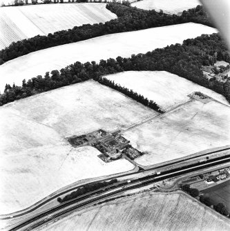 Longforgan Roman Temporary Camp, oblique aerial view, taken from the SSW, centred on the cropmarks of the SW half of the camp and the annexe.