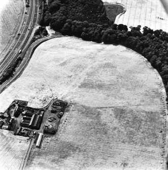 Longforgan Roman Temporary Camp, oblique aerial view, taken from the ENE, centred on the cropmarks of the SW side of the camp and the annexe.