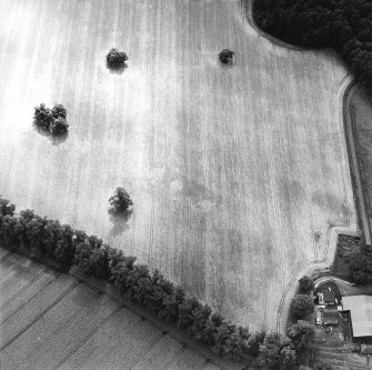 Oblique aerial view centred on the cropmarks of the unenclosed settlement and souterrains, taken from the NW.