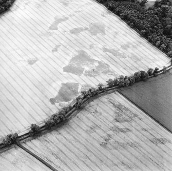 Oblique aerial view centred on the remains of the cup-marked stone and the cropmarks of the ring-ditches, round barrows, square barrows and enclosure, taken from the NNE.