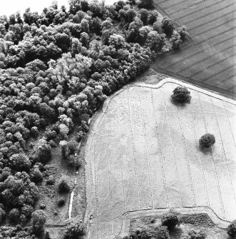 Rossie, oblique aerial view, taken from the NNE, centred on cropmarks including a trackway and enclosure.