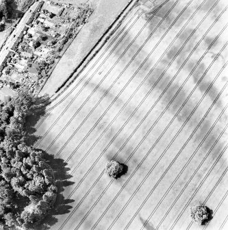 Rossie Priory, oblique aerial view, taken from the SSE, showing the cropmarks of an unenclosed settlement in the top right-hand corner of the photograph. Cropmarks of barrows are visible in the bottom half.