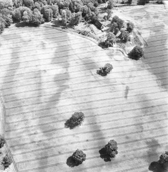 Rossie, oblique aerial view, taken from the NW, centred on the cropmarks of a series of rectilinear enclosures, a trackway and a building. Rossie Church is visible in the top centre of the photograph.