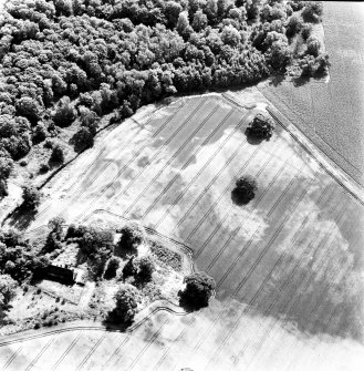 Rossie, oblique aerial view, taken from the NNW, centred on a series of indeterminate cropmarks and the marks of an enclosure and a trackway. Rossie Church is visible in the bottom left-hand corner of the photograph.