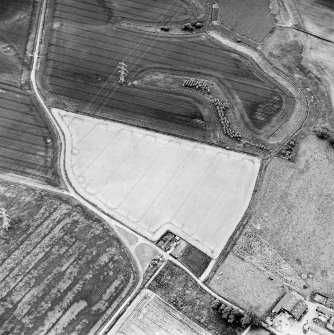 Oblique aerial view of Hallyards centred on the cropmarks of a moated site, taken from the NNE.