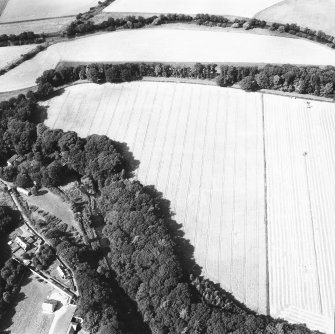 Oblique aerial view.