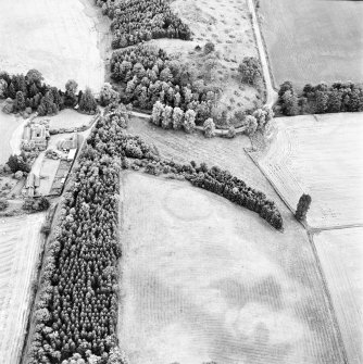 Balhary, oblique aerial view, taken from the NE, centred on the cropmarks of an enclosure.