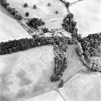 Balhary, oblique aerial view, taken from the NNW, centred on the cropmarks of an enclosure.