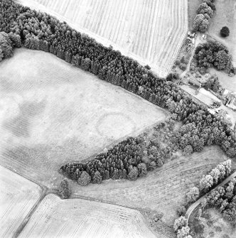 Balhary, oblique aerial view, taken from the NW, centred on the cropmarks of an enclosure.