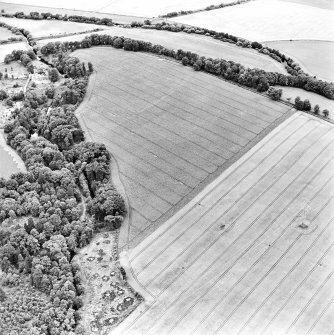 Oblique aerial view centred on the cropmarks of the Roman Fort with bridge, road bridge and watermill adjacent, taken from the ESE.