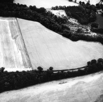 Oblique aerial view.