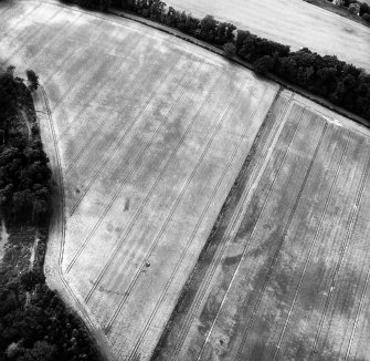 Oblique aerial view.