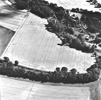 Cardean, oblique aerial view, taken from the NNW, showing the cropmarks of a Roman fort in the centre, and a possible pit-alignment in the centre right of the photograph.