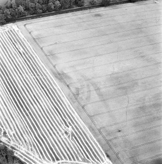 Cardean, oblique aerial view, taken from the SSE, centred on faint cropmarks of the Roman Fort.