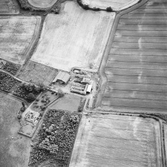 Oblique aerial view centred on the cropmarks of the souterrain with the house adjacent, taken from the ENE.