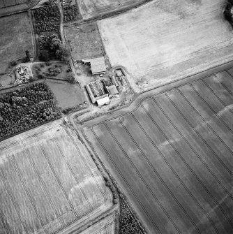 Oblique aerial view centred on the cropmarks of the souterrain with the house adjacent, taken from the N.