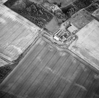 Oblique aerial view centred on the cropmarks of the souterrain with the house adjacent, taken from the NW.