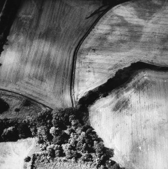 Oblique aerial view.