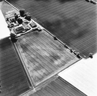 Loch of Liff, oblique aerial view, taken from the NE, showing the cropmarks of a possible cursus.