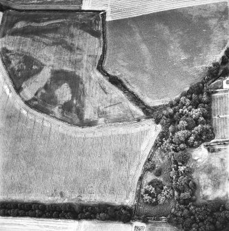 Fowlis Burn, oblique aerial view, taken from the SSE, centred on cropmarks of a rectilinear enclosure and linear cropmarks.