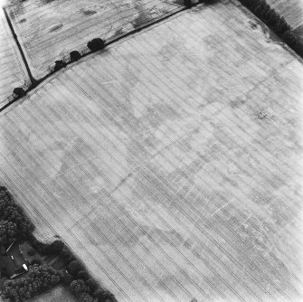 Star Inn Farm, oblique aerial view, taken from the E, centred on the cropmarks of a pit-alignment and field boundary. Further linear cropmarks, square barrows and ring-ditches are visible in the bottom right-hand corner of the photograph.