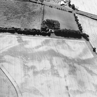 Oblique aerial view centred on the cropmarks of the round barrows, square barrows, enclosure, roundhouse, pits, field boundary, pit-alignment and rig, taken from the NW.
