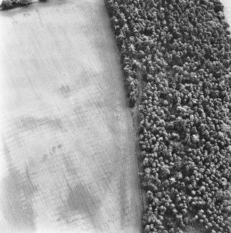 Muir House and Warren Woods, Glamis, oblique aerial view, taken from the N, showing a series of cropmarks including those of rig in the top right-hand corner area, and cropmarks of part of the unenclosed settlement at Warren Woods near the bottom of the photograph.