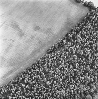 Muir House, oblique aerial view, taken from the NW, showing a series of cropmarks including those of rig in the centre left of the photograph.