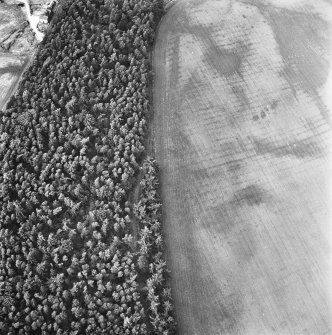 Muir House, oblique aerial view, taken from the S, showing a series of cropmarks including those of rig in the right half of the photograph.