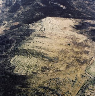 Oblique aerial view centred on the remains of the township, rig and head-dyke, taken from the NW.