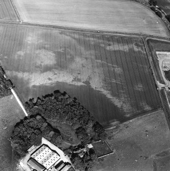 Kirkton Barns, oblique aerial view, taken from the W, centred on cropmarks of an unenclosed settlement.