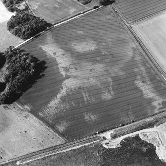 Kirkton Barns, oblique aerial view, taken from the SSW, centred on cropmarks of an unenclosed settlement.