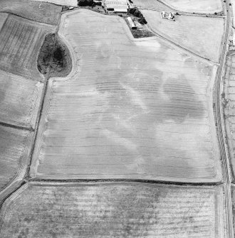Oblique aerial view centred on the cropmarks of the ring-ditches, unenclosed settlement and barrow, taken from the NE.